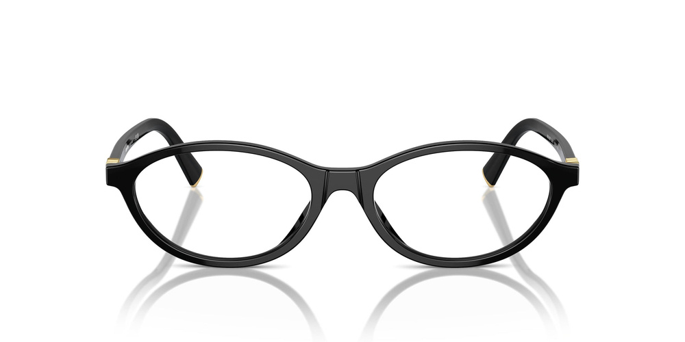 Miu Miu Optical frame MU09XV-16K1O1