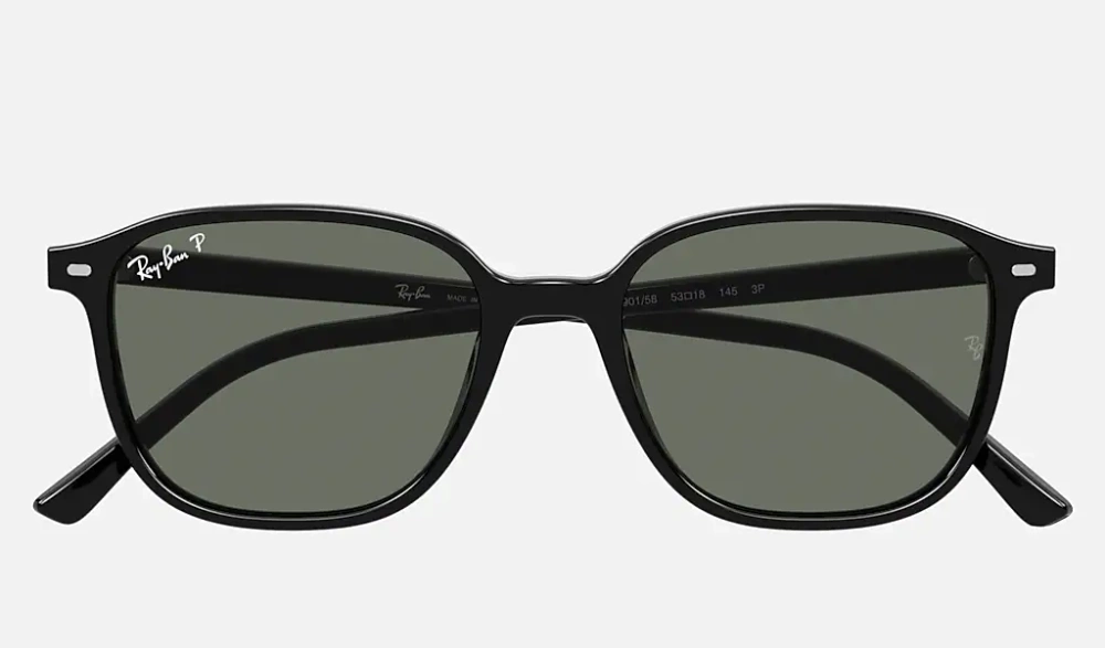 Ray-Ban Okulary przeciwsłoneczne LEONARD RB2193-901/58