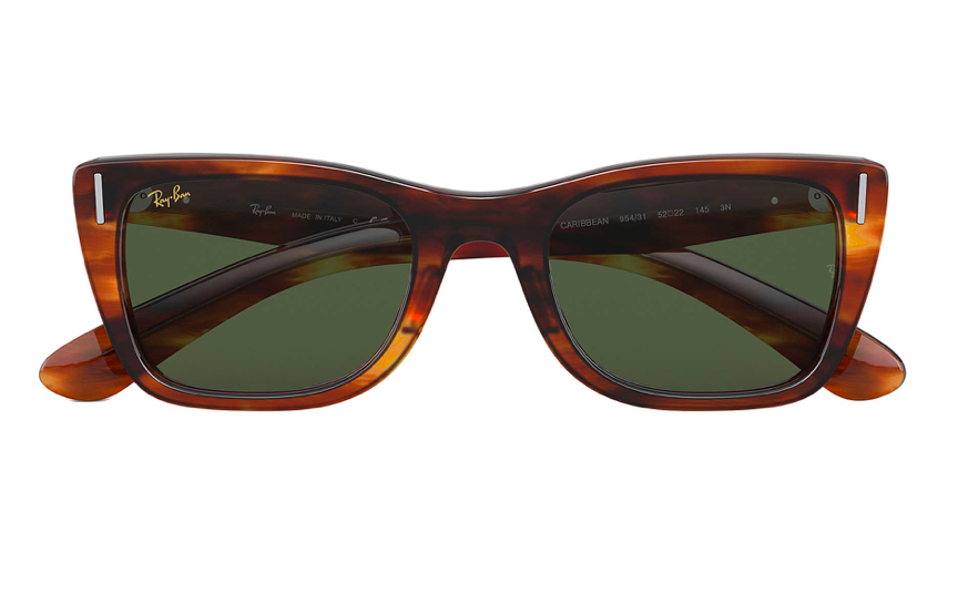 Ray-Ban Sunglasses RB2248-954/31