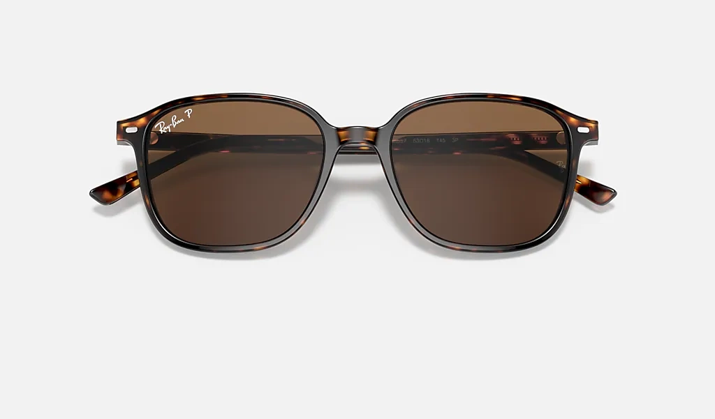 Ray-Ban Sunglasses LEONARD RB2193-902/57