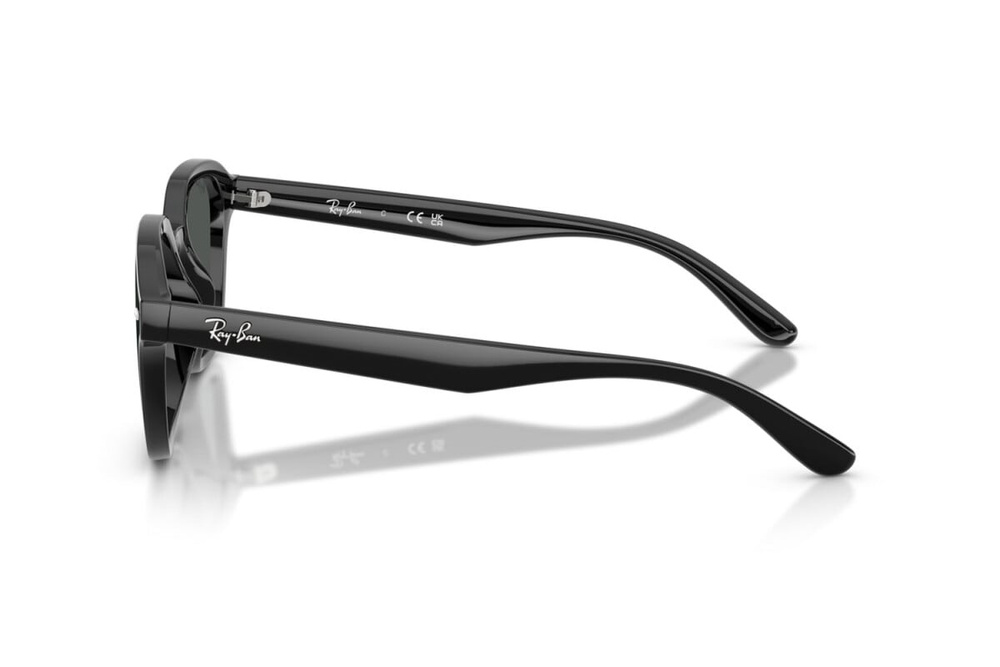 Ray-Ban Sunglasses RB4458D-601/87