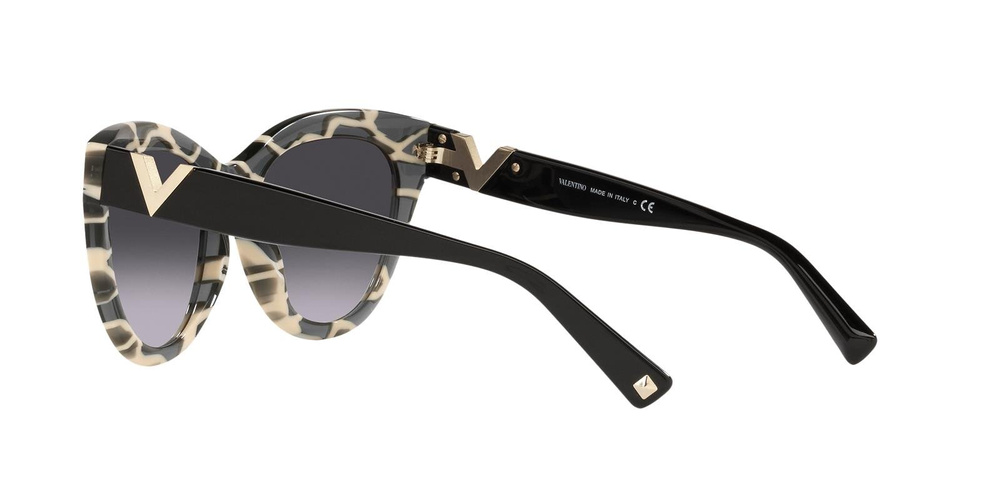 Valentino Sunglasses VA4089-514913