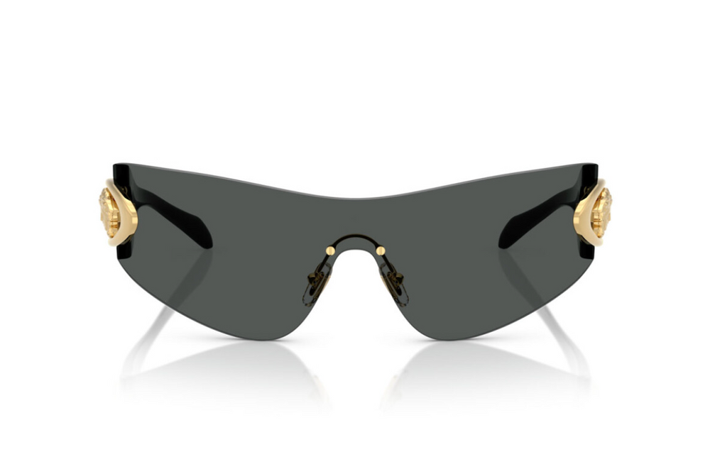 Versace Sunglasses VE2280-100287