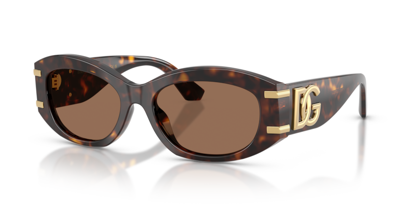 Dolce & Gabbana Sunglasses DG4502-502/73