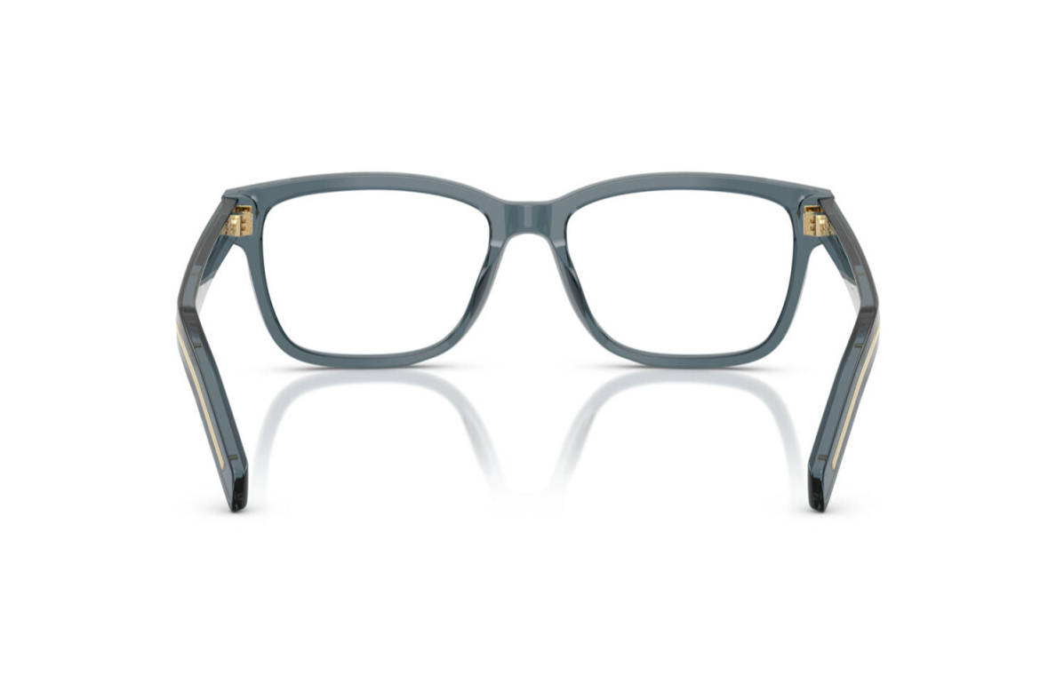 Prada Optical frame PRB10V-17T1O1