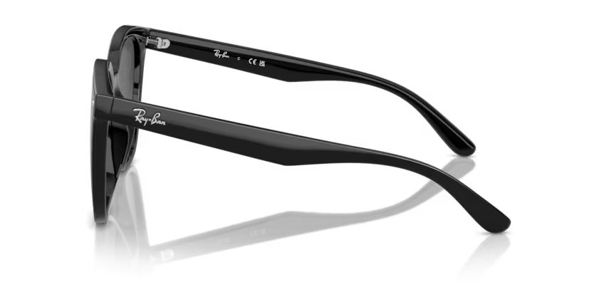 Ray-Ban Sunglasses RB4423D-601/87