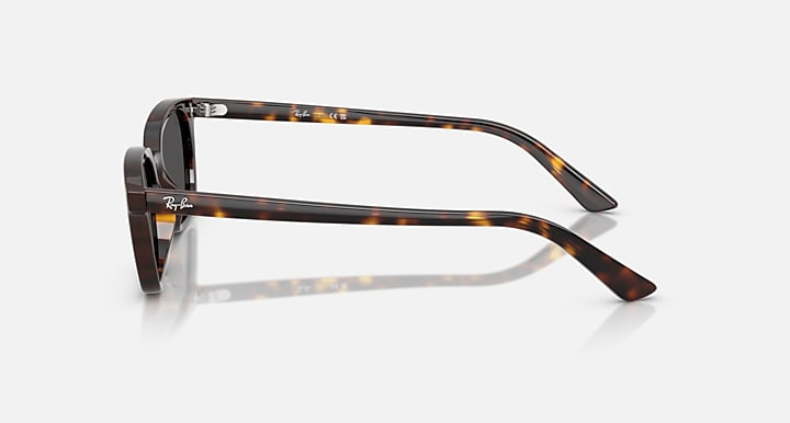 Ray-Ban Sunglasses ZAYA RB4456-135987