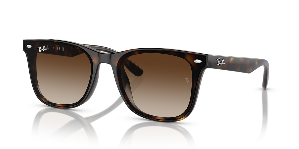 Ray-Ban Sunglasses RB4420-710/13