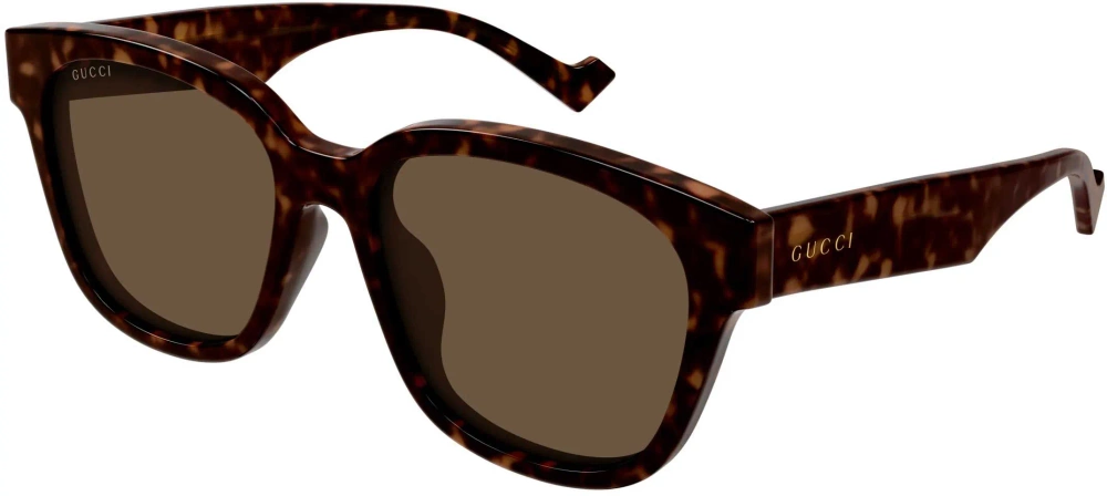 GUCCI Sunglasses GG1487S-001