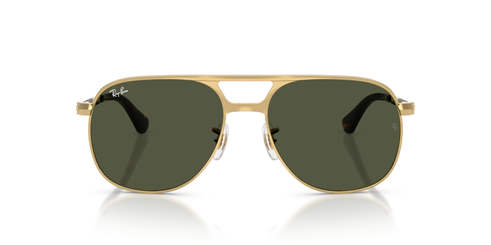Ray-Ban Sunglasses BILL MAX RB3793-001/31