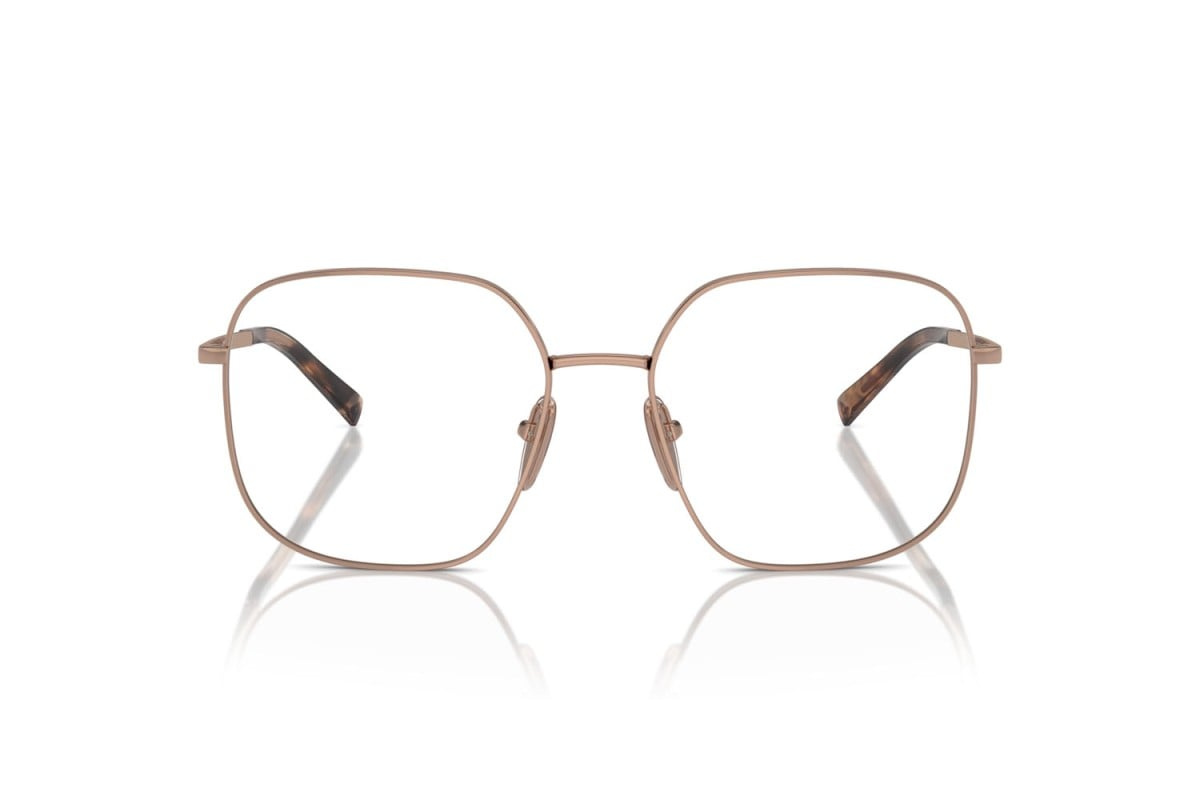 Prada Optical frame PR A59V-ZVF1O1