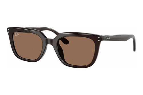 Ray-Ban Sunglasses RB4439D-623173