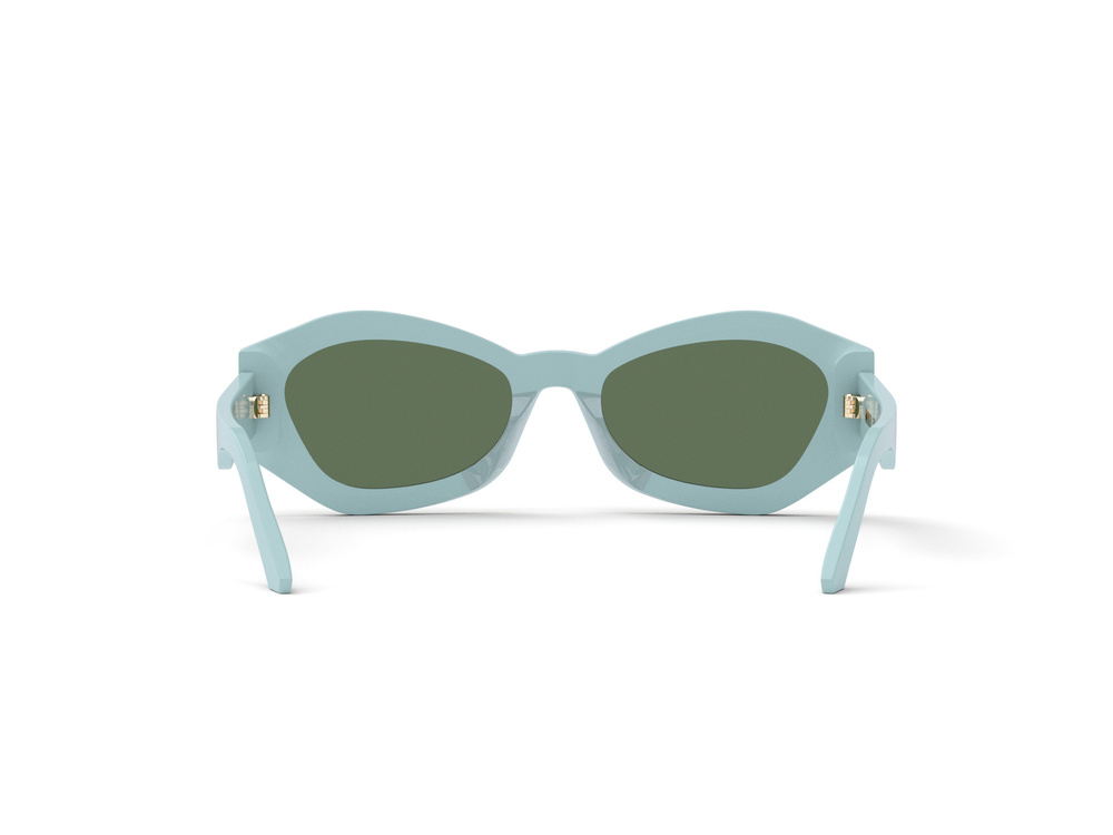 Dior Sunglasses DIORSIGNATURE B1U 80C0 CD40058U_5584N