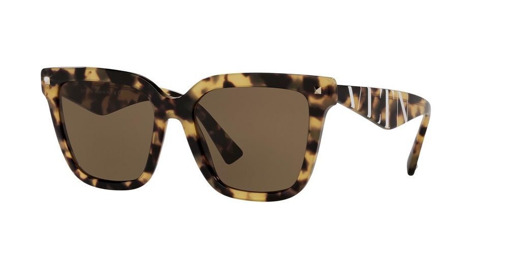 Valentino Sunglasses VA4084-503673