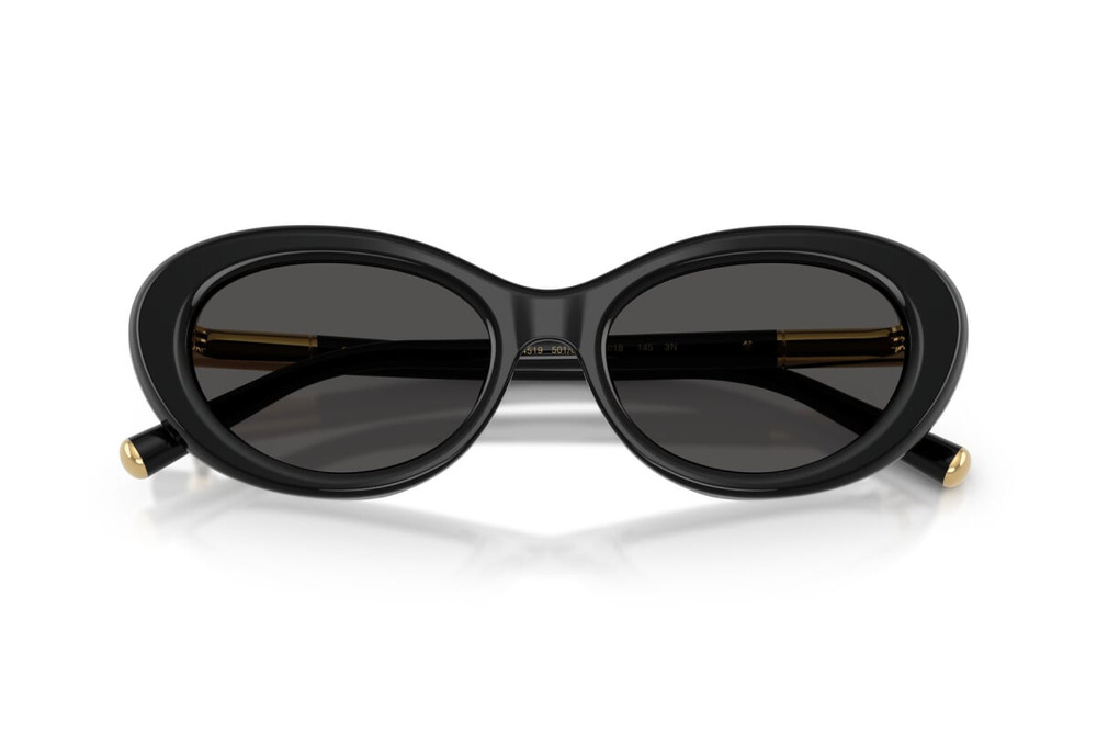Dolce & Gabbana Okulary przeciwsłoneczne DG4519-501/87