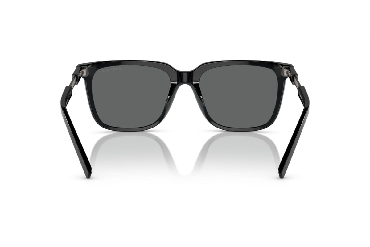 Giorgio Armani Sunglasses AR8202U-587587