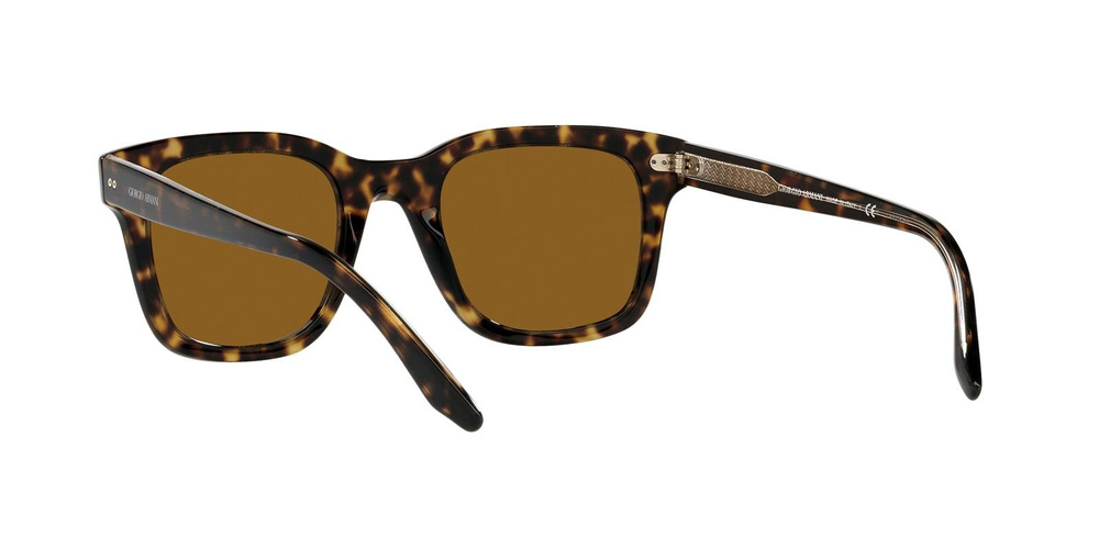 Giorgio Armani Sunglasses AR8138-502633