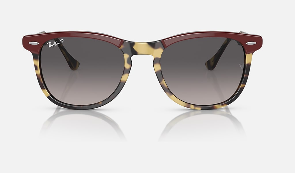 Ray-Ban Okulary przeciwsłoneczne EAGLEEYE RB2398-1377M3