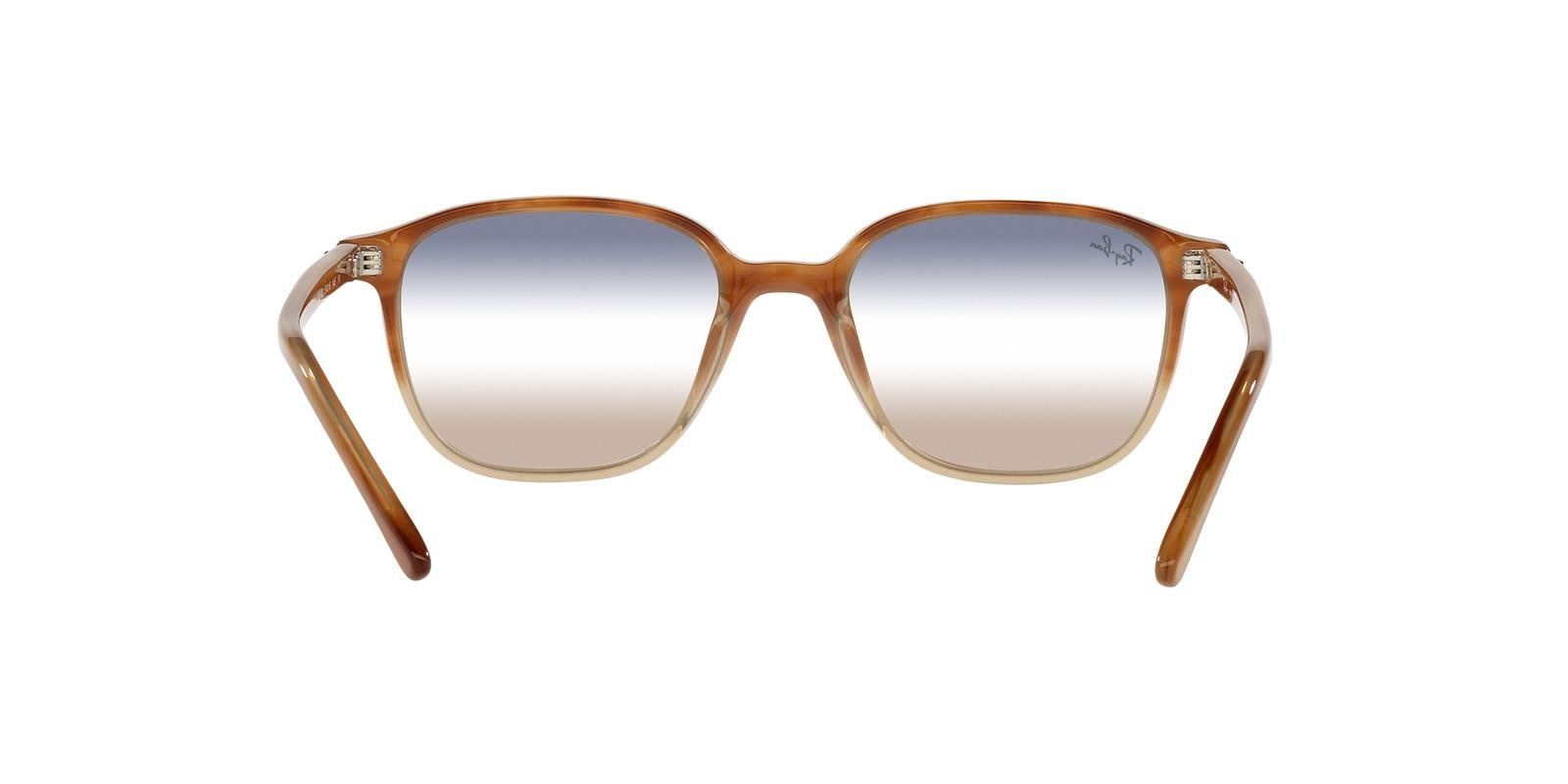 Ray-Ban Okulary przeciwsłoneczne LEONARD RB2193-1328GD