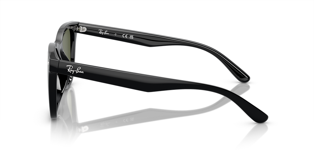 Ray-Ban Sunglasses RB4420-601/9A