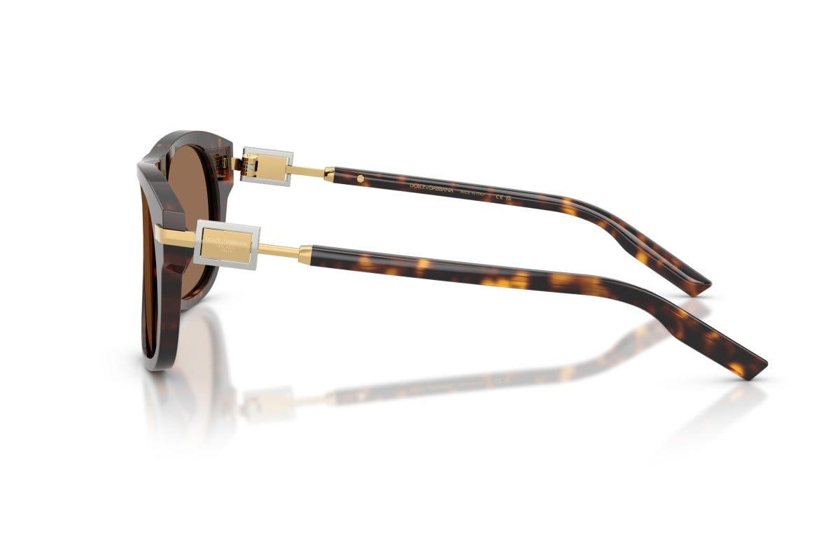 Dolce & Gabbana Sunglasses DG4546-502/73