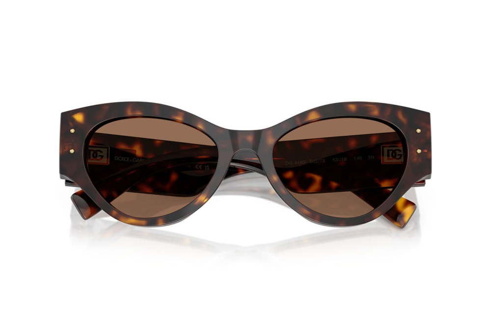 Dolce & Gabbana Sunglasses DG4480-502/73