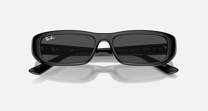 Ray-Ban Sunglasses RB4436D-667787