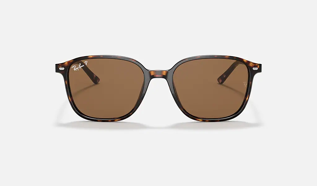 Ray-Ban Okulary przeciwsłoneczne LEONARD RB2193-902/57