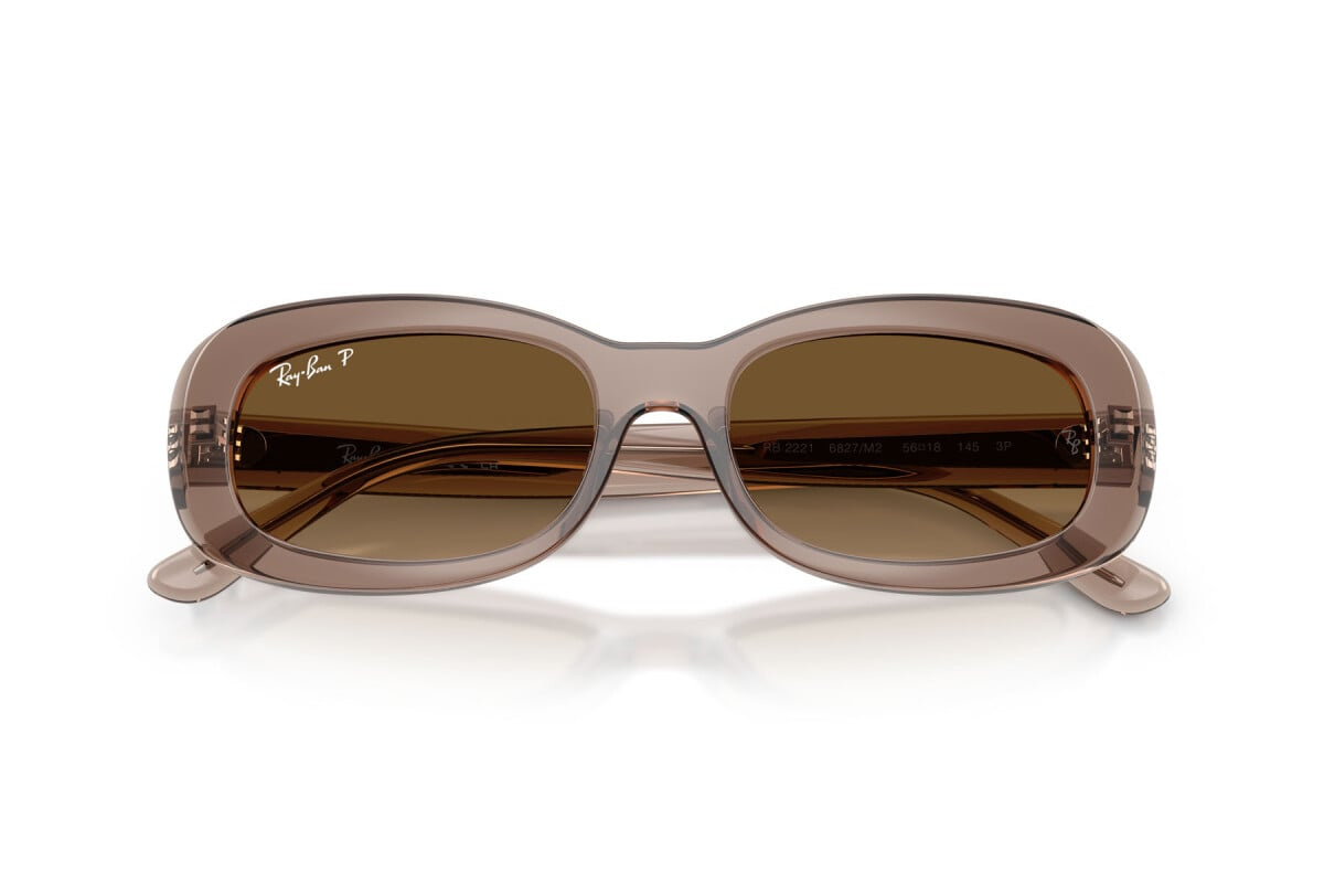 Ray-Ban Sunglasses RB2221-6827M2