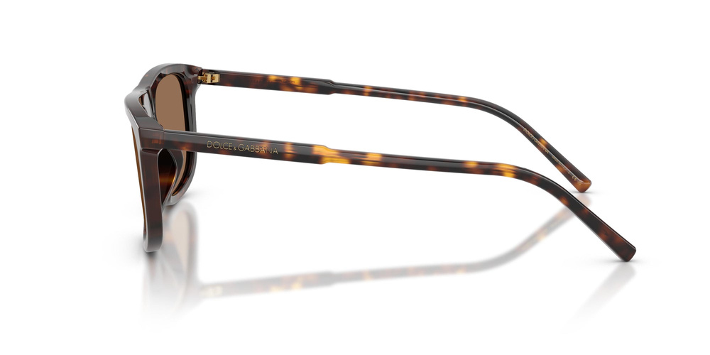 Dolce & Gabbana Sunglasses DG4542-502/73
