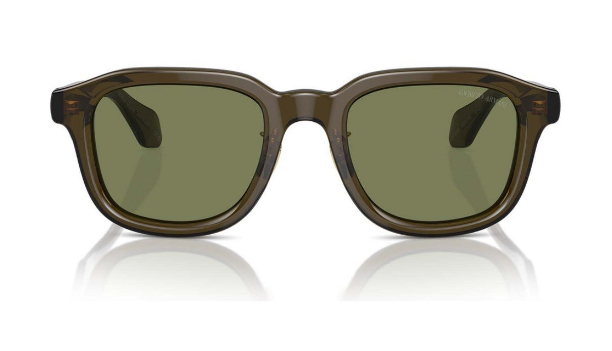 Giorgio Armani Sunglasses AR8206-60612A