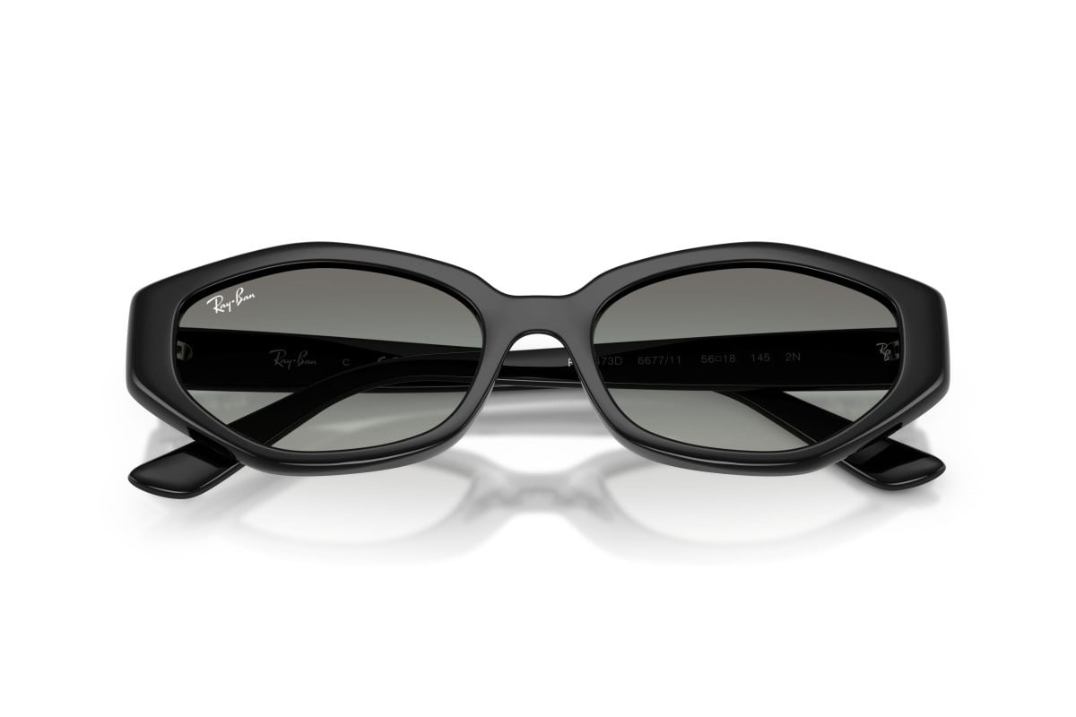 Ray-Ban Sunglasses RB4473D-667711