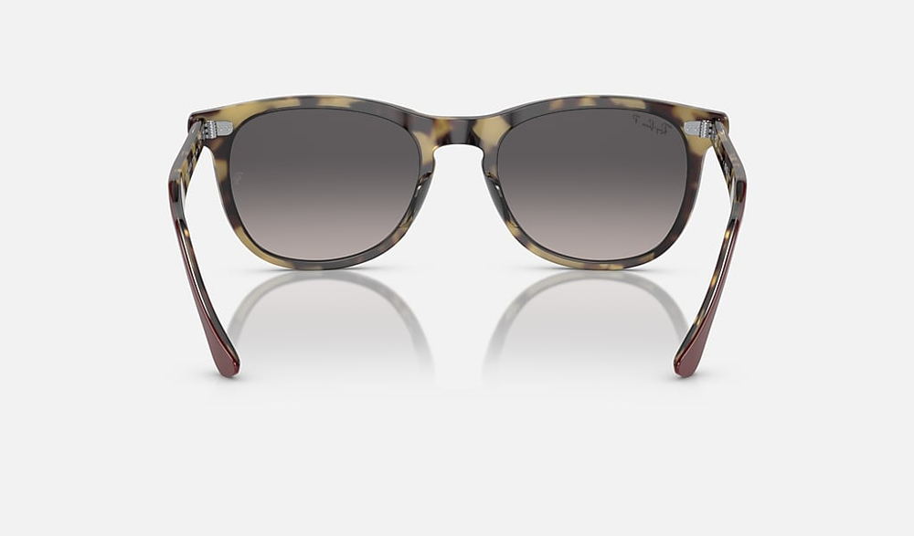 Ray-Ban Okulary przeciwsłoneczne EAGLEEYE RB2398-1377M3