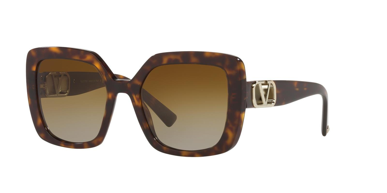 Valentino Sunglasses VA4065-5002T5
