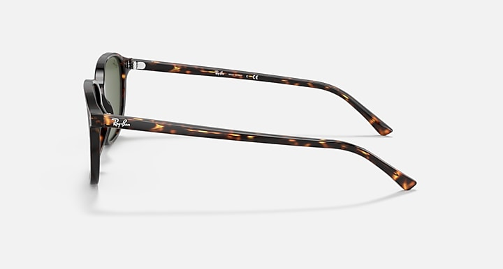 Ray-Ban Sunglasses LEONARD RB2193-902/31