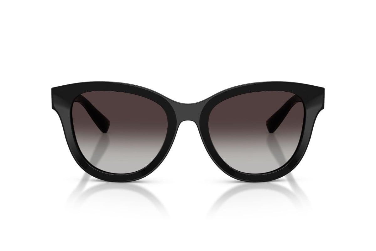 Dolce & Gabbana Sunglasses DG4533-501/8G