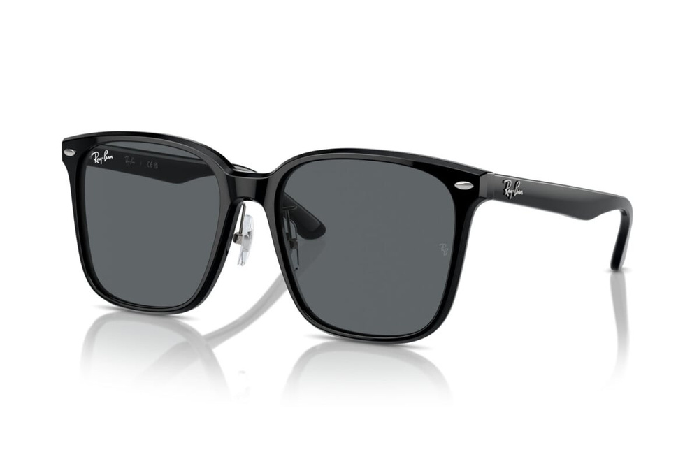 Ray-Ban Sunglasses RB2206D-901/87