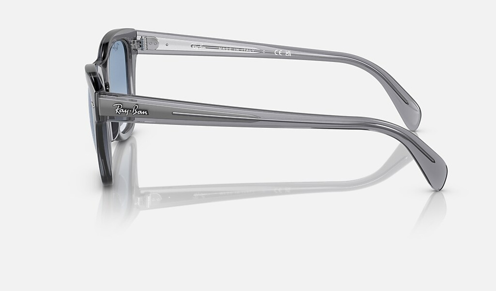 Ray-Ban Sunglasses RB0707S-66413F