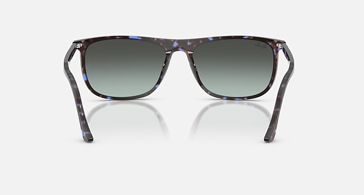Ray-Ban Sunglasses RB2216-1430GK