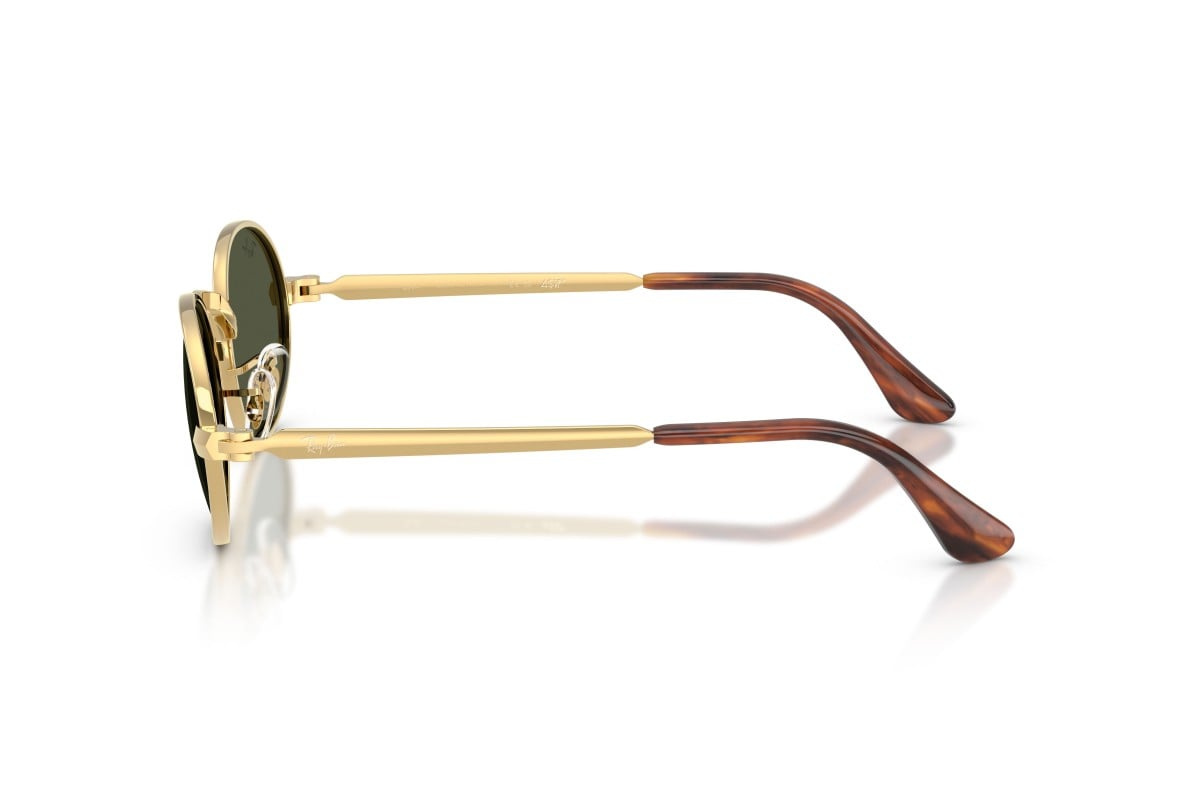 Ray-Ban Sunglasses RB3931-001/31