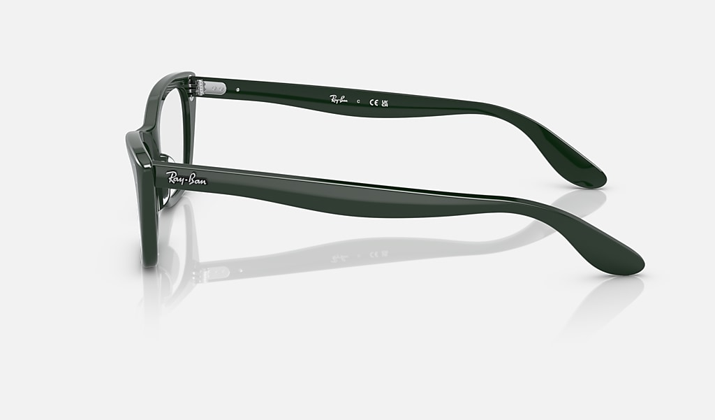 Ray-Ban Okulary korekcyjne LADY BURBANK RB5499-8226