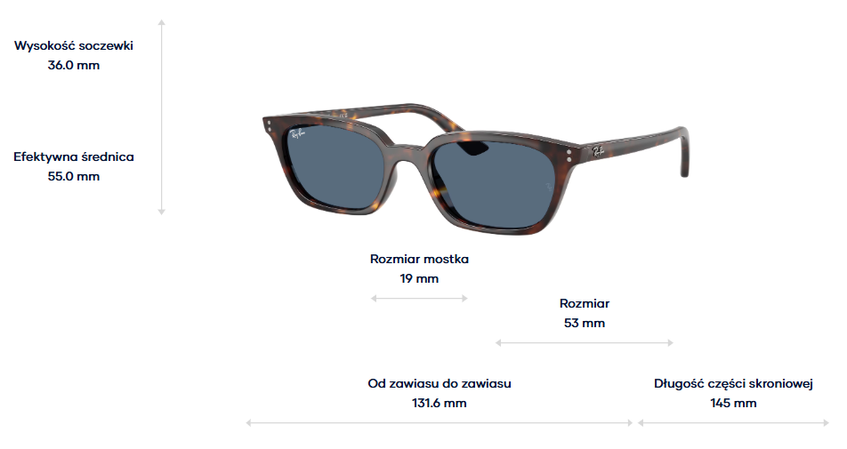 Ray-Ban Okulary przeciwsłoneczne ZAYA RB4456-135980