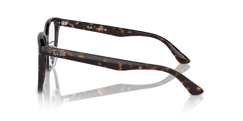 Ray-Ban Okulary korekcyjne RX5425D-2012