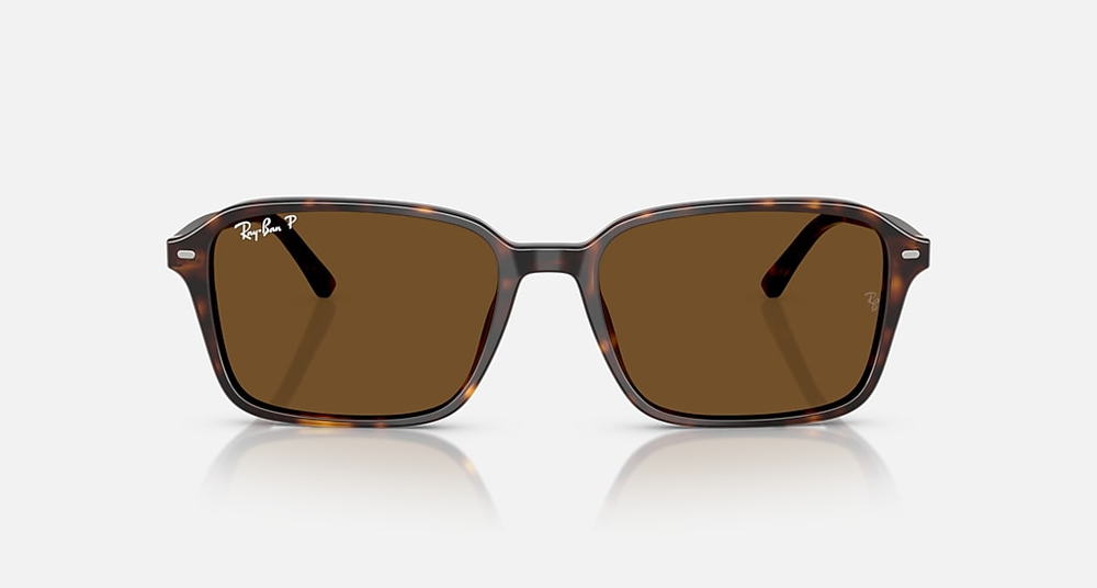 Ray-Ban Okulary przeciwsłoneczne RAIMOND RB2231-902/57