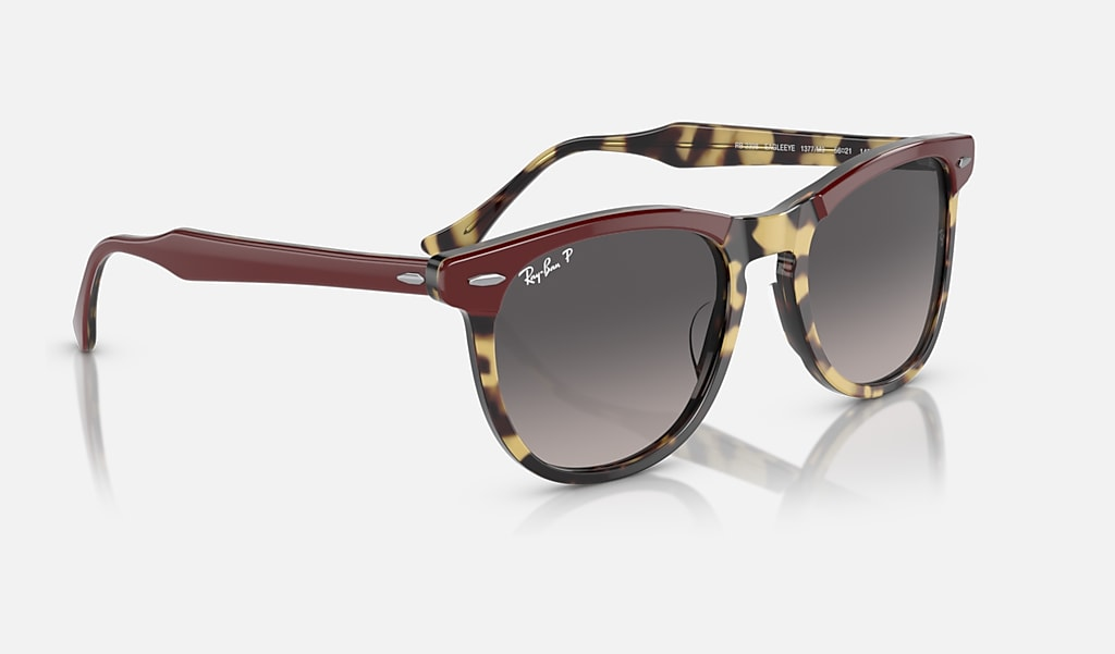 Ray-Ban Sunglasses EAGLEEYE RB2398-1377M3