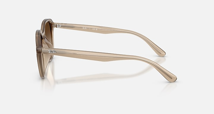 Ray-Ban Sunglasses RB4459D-616613