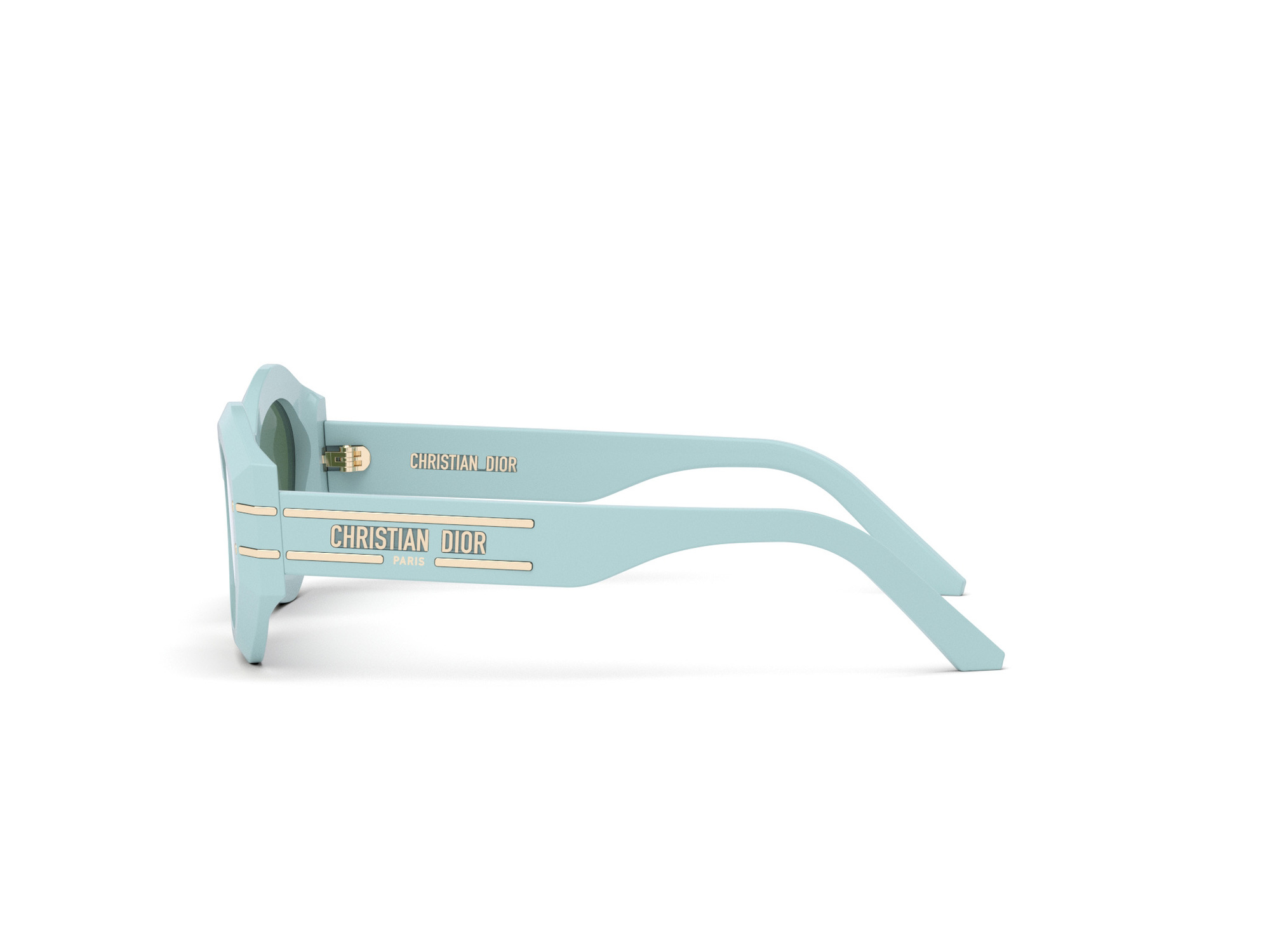 Dior Sunglasses DIORSIGNATURE B1U 80C0 CD40058U_5584N