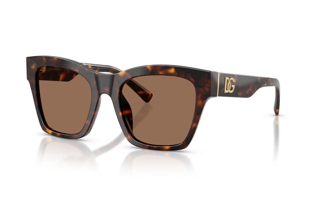 Dolce & Gabbana Sunglasses DG4512-502/73