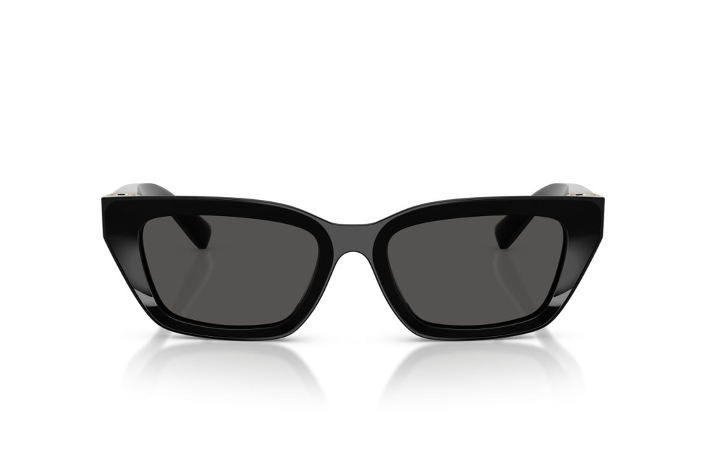 Dolce & Gabbana Sunglasses DG4532-501/87