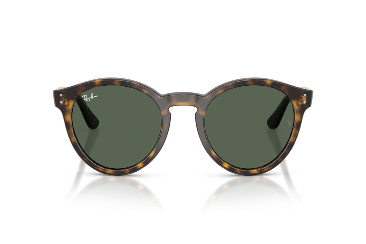 Ray-Ban Sunglasses RBR0505S-6790VR